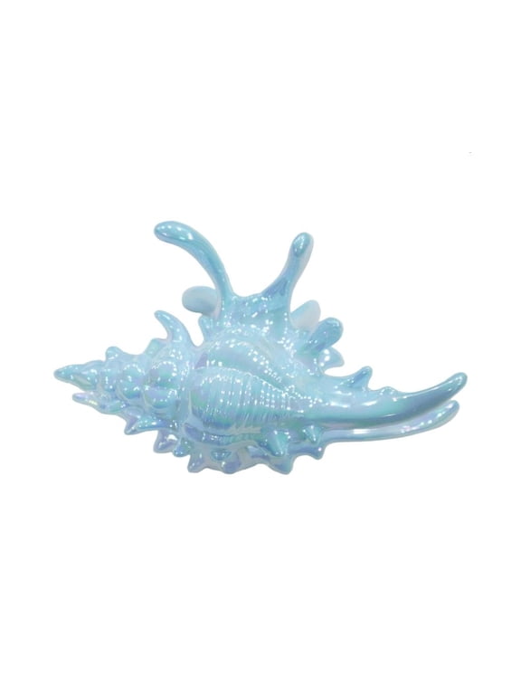 Trendy Conch Shaped Hair Claw Clip Strong Grip Multiple Color