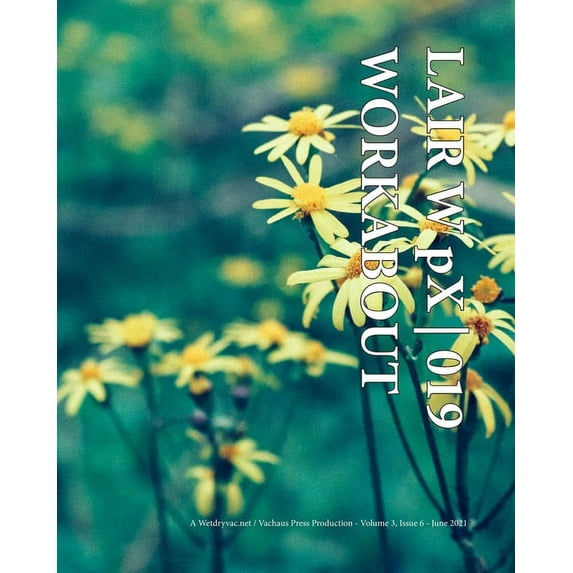 LAIR W pX 019 Workabout (Paperback)