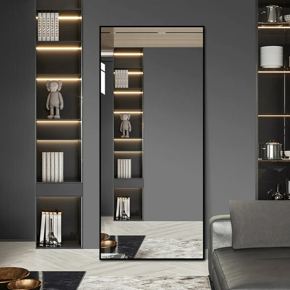 LAIYA full body floor mounted wall mounted large rectangular mirror makeup mirror, 65 * 22 inches