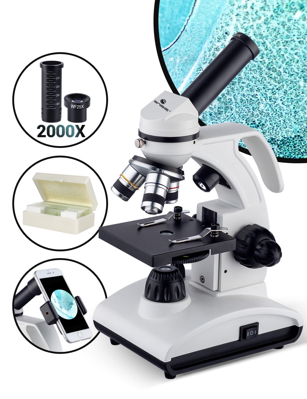  Microscope for Adults Kids, 40X-2000X Compound Biological  Monocular Microscope Kit for Kids Students Beginners Lab Home School  Education - w/Slides Set, Phone Adapter, Power Adapter (White, Metal) :  Electronics