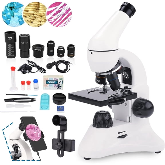 Compound Microscope for Adults & Students--40X-2000X High-Power Biological Microscope for Students School Lab & Home Education, with Slides Set & Phone Adapter
