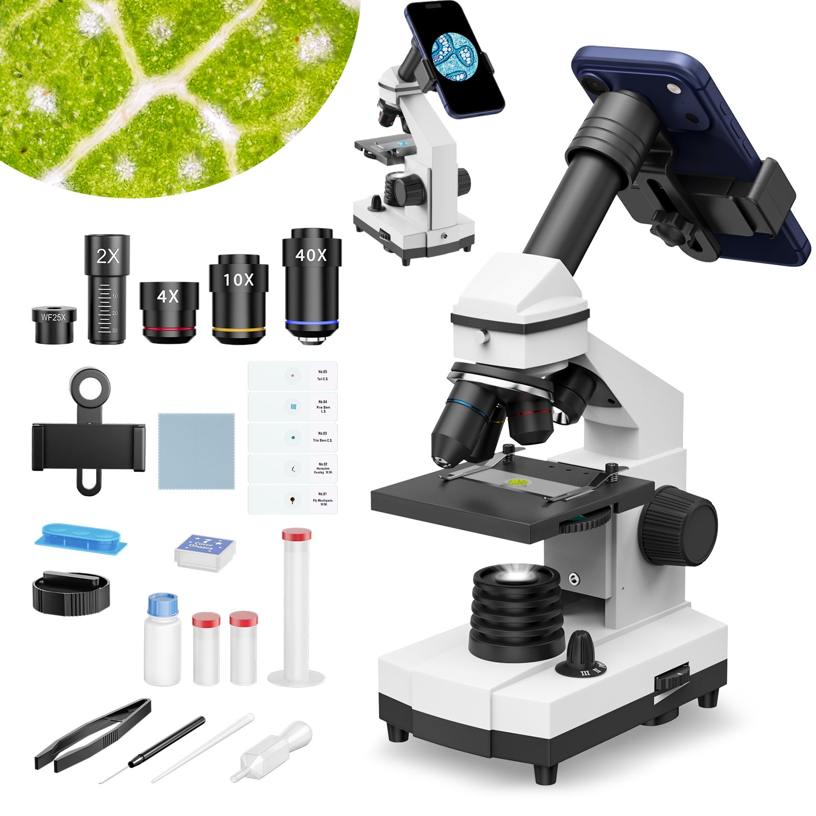 LAKWAR Microscope for Adults & Kids - 40X-2000X High-Power Biological Microscope for Students, School Lab & Home Education, with Slides Set & Phone Adapter