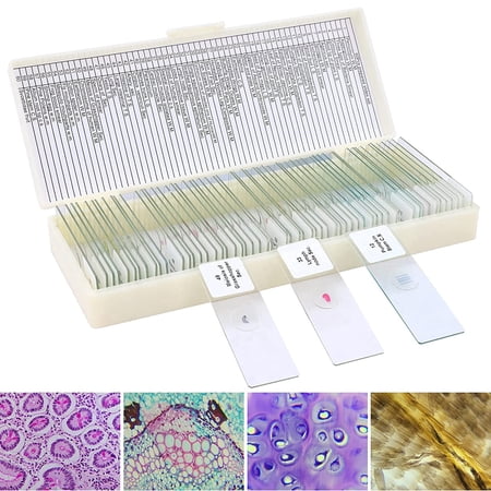 LAKWAR Microscope Slides, 60PCs Prepared Microscope Slides with Specimens for Kids Microbiology,Disc for Microscope Cells
