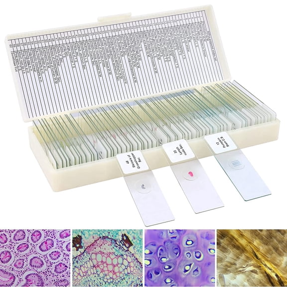 LAKWAR Microscope Slides, 60PCs Prepared Microscope Slides with Specimens for Kids Microbiology,Disc for Microscope Cells