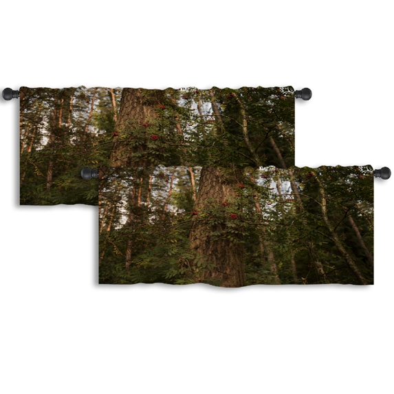 LALILO Kitchen Curtain Valance Autumn Scene Forest Sun Shining Rod Pocket Window Curtain 52"x 18" Set of 2