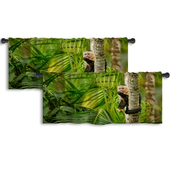 LALILO Kitchen Curtain Valance King Penguin Couple Wild Nature Rod Pocket Window Curtain 52"x 18" Set of 2