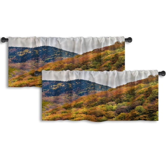 LALILO Kitchen Curtain Valance Monkey Rain Forest Natural Rod Pocket Window Curtain 52"x 18" Set of 2