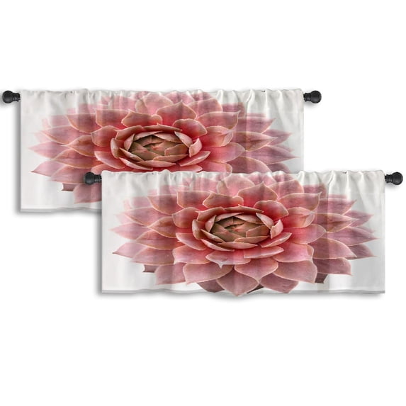 LALILO Kitchen Curtain Valance Red Succulent Succulent Plant Rod Pocket Window Curtain 52"x 18" Set of 2