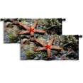 thumbnail image 1 of LALILO Kitchen Curtain Valance Sea Star Underwater Rod Pocket Window Curtain 52"x 18" Set of 2, 1 of 7