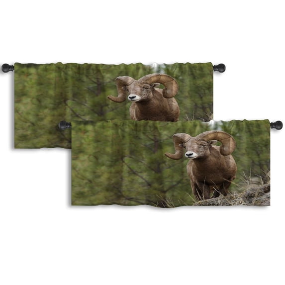 LALILO Kitchen Curtain Valance Wild Mountain Sheep With Rod Pocket Window Curtain 52"x 18" Set of 2