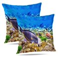 thumbnail image 1 of LALILO Throw Pillow Covers Coral And Fish Red Sea Egypt Africa Cushion Cover 18" x 18", 2934 Pack, 1 of 6