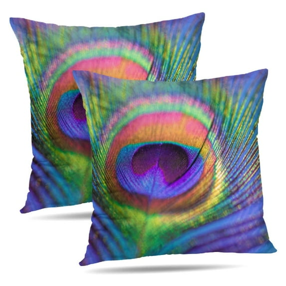 LALILO Throw Pillow Covers Peacock Feather Multicolored Exotic Cushion Cover 18" x 18", 4239 Pack