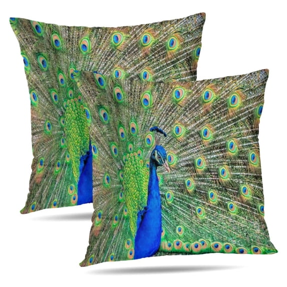 LALILO Throw Pillow Covers Peacock Showing Feathers Peacock Animal Cushion Cover 18" x 18", 1006 Pack
