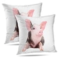 thumbnail image 1 of LALILO Throw Pillow Covers Portrait Funny Little Pig White Pig Cushion Cover 18" x 18", 4363 Pack, 1 of 6