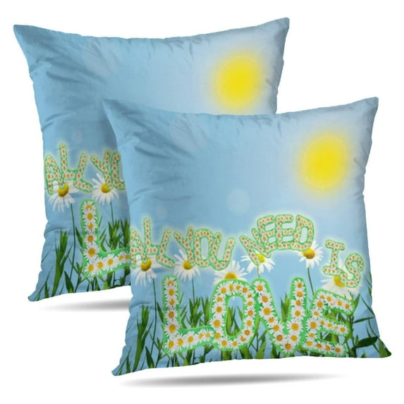 LALILO Throw Pillow Covers You Love Floral Daisies Flowers Love Cushion Cover 18" x 18", 2224 Pack