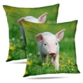 thumbnail image 1 of LALILO Throw Pillow Covers Young Pig Spring Green Grass Pig Farm Cushion Cover 18" x 18", 2 Pack, 1 of 6
