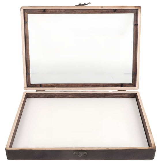 LAMIRO 1 Set of Insect Display Case Wooden Bug Collection Box Clear Window Insect Box Specimen Box