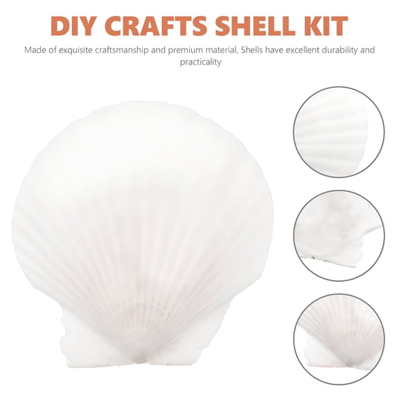 LAMIRO 10pcs White Scallops Shell Seashells Large Natural Shell Embellishment Craft Material