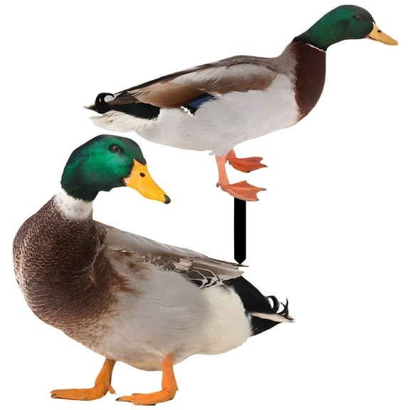 LAMIRO 2pcs Acrylic Yards Art Animal Yard Decor Garden Decoration Grass Ornaments