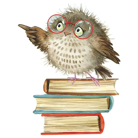 LAMIRO Bird Book Children Playing Bedroom Living Room Porch Home Wall Decoration Wall Sticker Back to School Library Reading Corner Classroom Bedroom Study Room Office Decor Decal