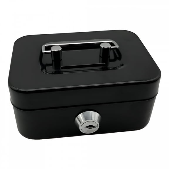 LAMIRO Metal Secure Storage Handles Lock Coin Slot Money Box,Black