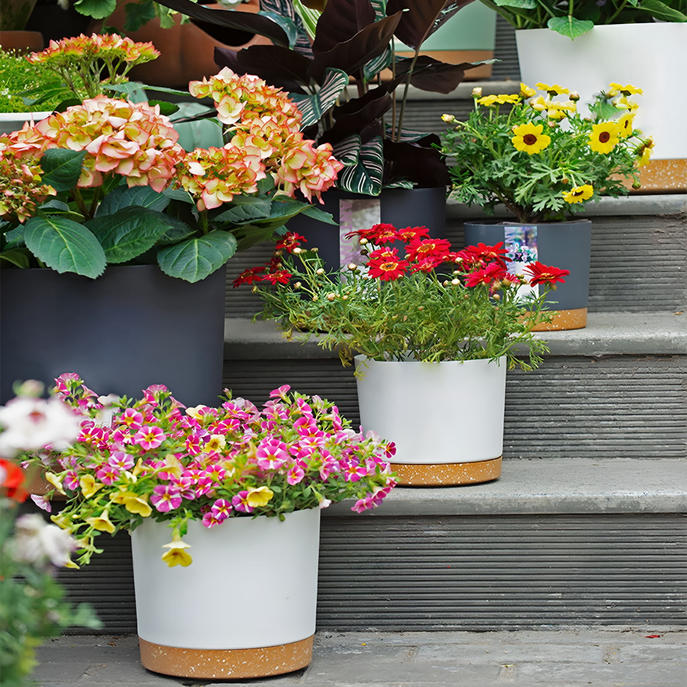 LAMIRO Pots for Plants,Large Plant Pot for Indoor Plants,Mid-Century ...