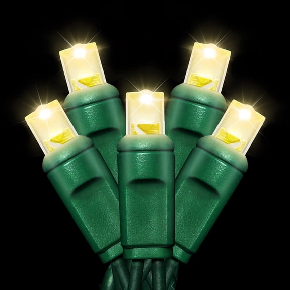 LAMPHOME 50 Count Warm White -30% Twinkle Bulbs and 70% Steady Burn Bulbs String Lights - 21.6FT LED Christmas Lights, Mini led Lights for Outdoor Home Holiday