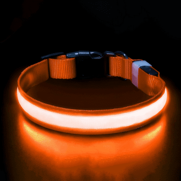 LAMSTOM Light up Dog Collar for Night Walking - LED Dog Collar Light Rechargeable Color Changing, Glow in The Dark Dog Collars Waterproof Glowing Dog Collars for Large Small Medium Dogs(Neon Orange)