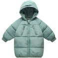 thumbnail image 1 of LANBAOSI Toddler Winter Coat Boy Puffer Winter Jacket with Hooded 4T, 1 of 6