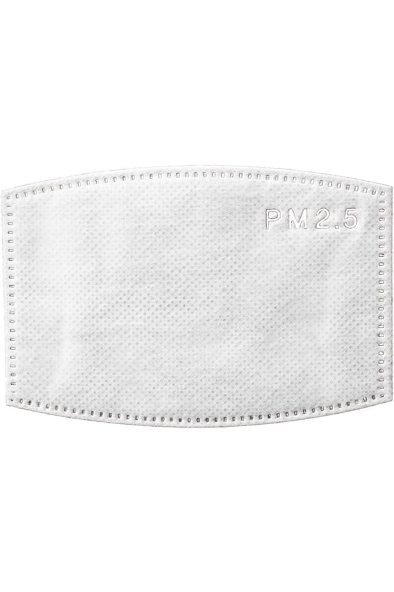 PM2.5 Face Mask Filters (10-Pack, Kids)