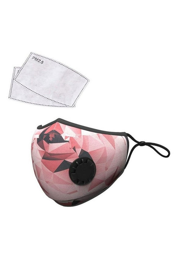 Reusable Fabric Face Mask with PM2.5 Filters & External Valve (Adults, Pink Design)