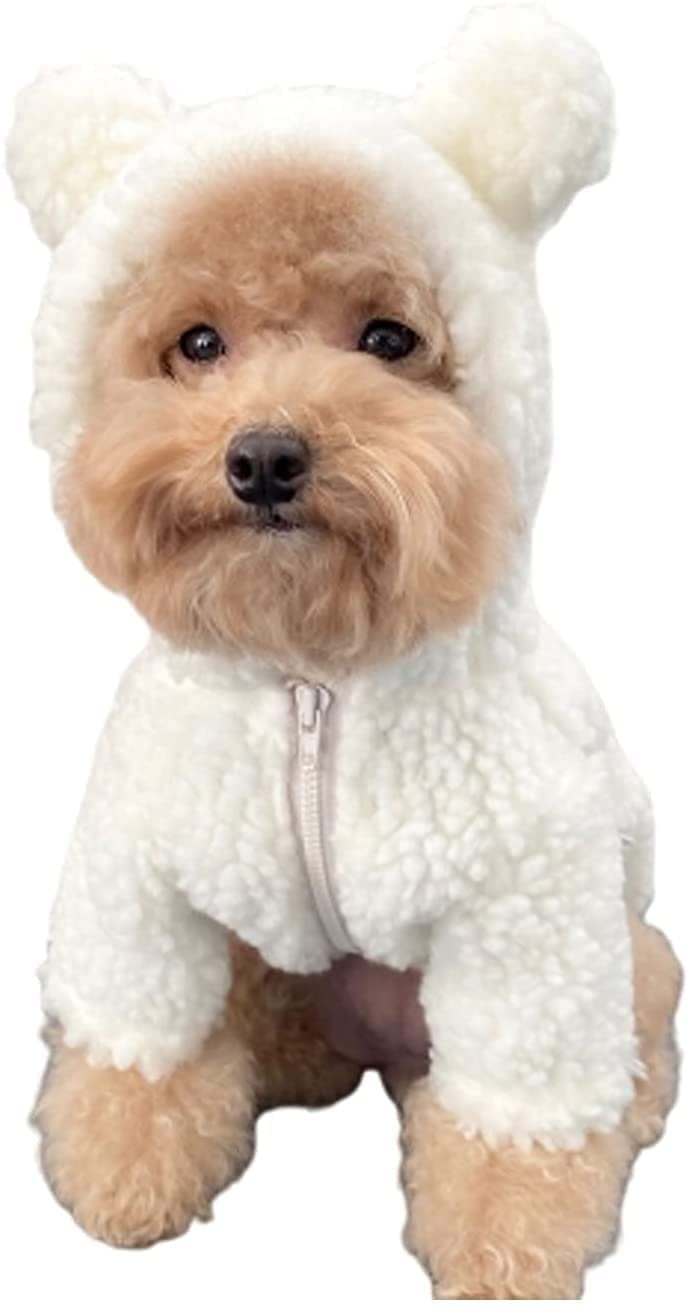 Teddy Dog Clothes, Pet Supplies