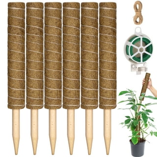 【新品未使用】MOSS STICK SW50 24-25 Moss-Pole-Plants-RUseeN-Poles-