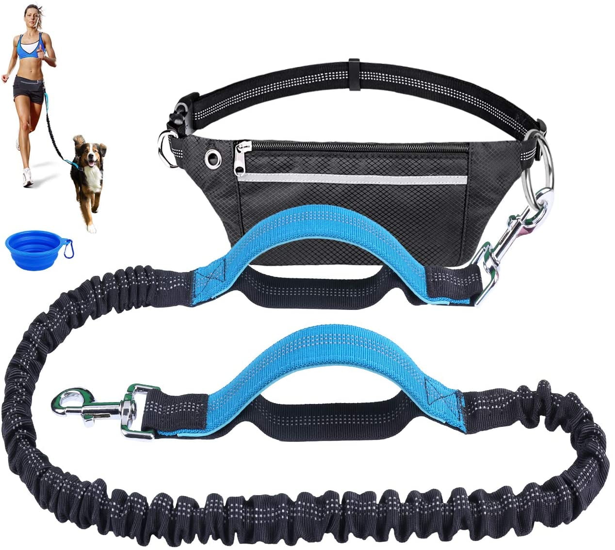 Dog hotsell leashes walmart