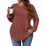 LANREMON Women's Plus Size Crewneck Long Sleeve Tops Casual Lightweight Fall Pullover Tunic Sweaters Shirts