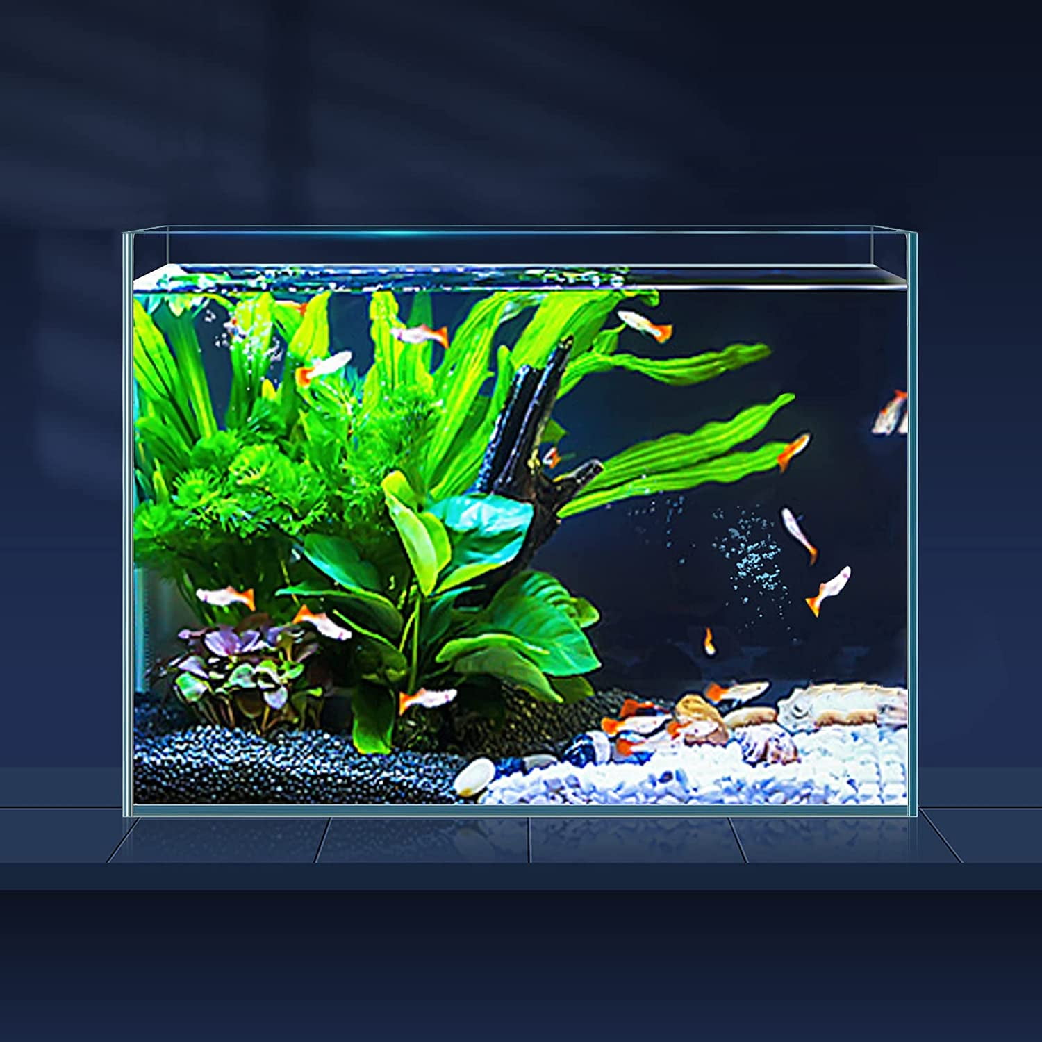 LAQUAL 3 Gallon Ultra Clear Glass Fish Tank, Rimless Low Iron Aquarium for Betta/Nano/Goldfish/Snail/Shrimp, Small Fish Tank with Fish Net & Cleaning