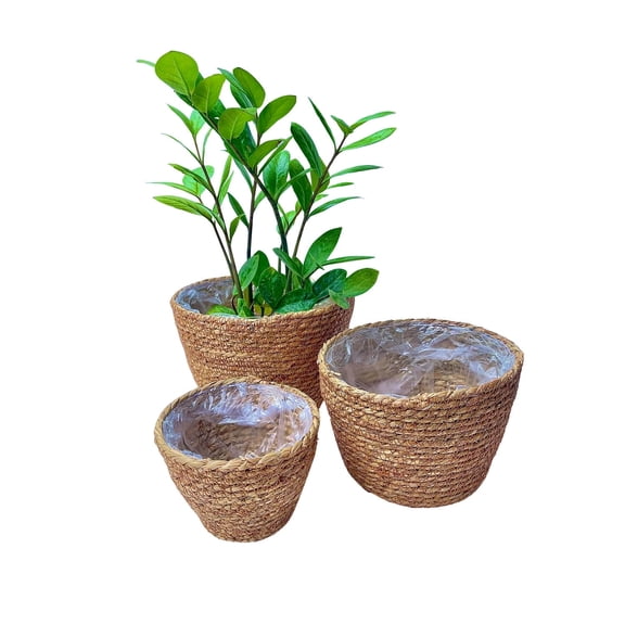 LAQUEDECRAFT Woven Seagrass Plant Basket Without Handles | Decorative Planter for Small-Space Living or Natural Home Styling | Perfect for Living Room, Balcony, Patio, Kitchen or Gadren (Set of 3)