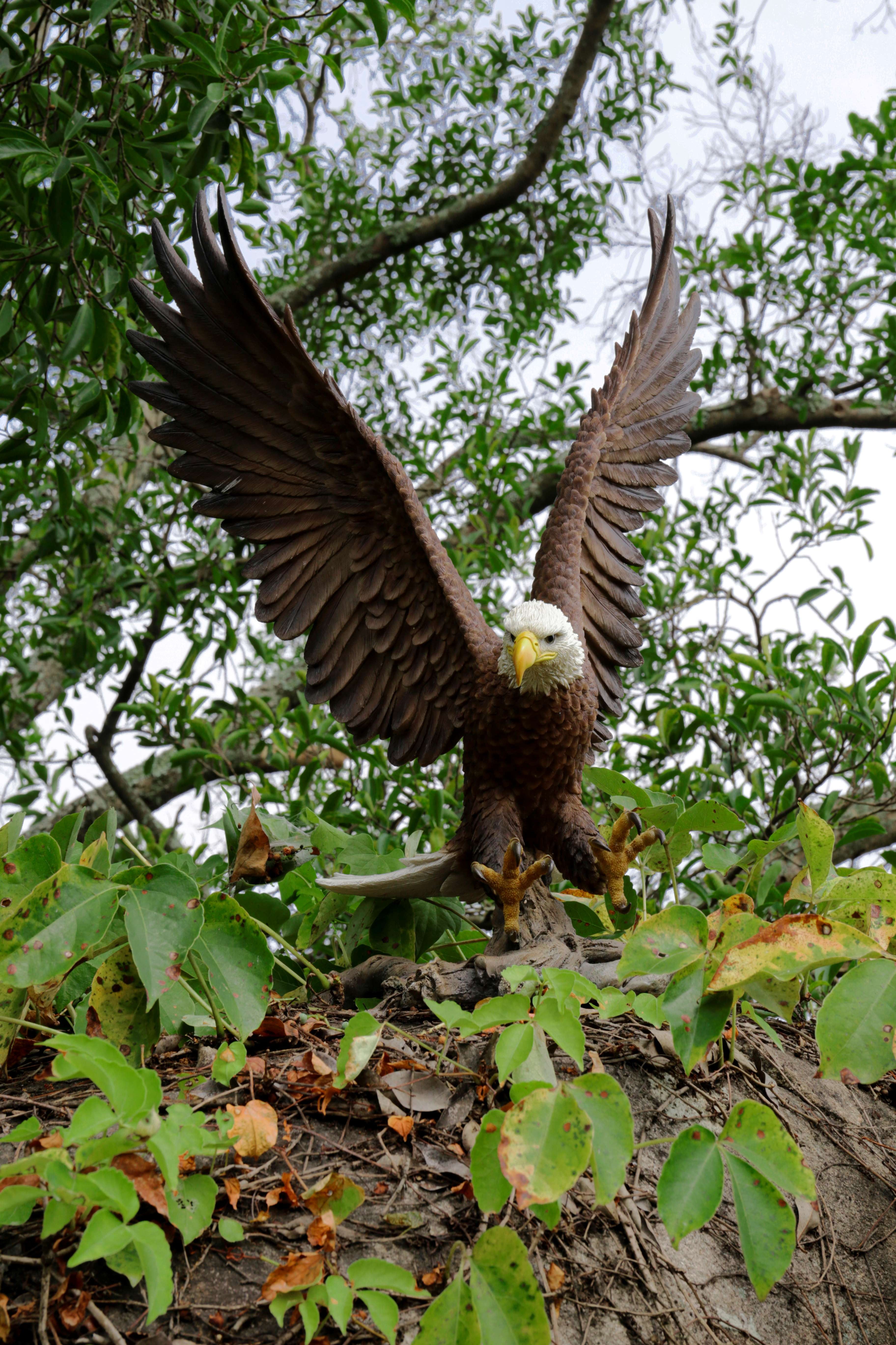 Large Brown and White Polyresin Flying Eagle Garden Statue