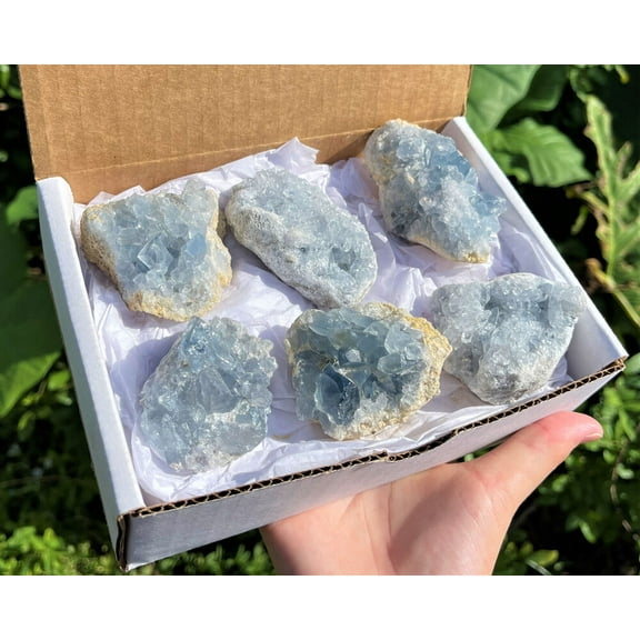 LARGE Natural Celestite Crystal Cluster Box: 6-8 Pieces, 1.75-2.5 lb Bulk Lot