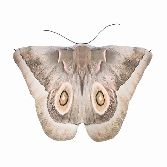 LARP Moth Wings Costume for Women,Double-Sided Butterfly Shawl Cape Halloween Fairy Cloak Party Dress Up