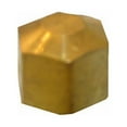 thumbnail image 1 of LARSEN SUPPLY CO. INC. 17-6181 1/4" Brass CMP Cap, 1 of 2
