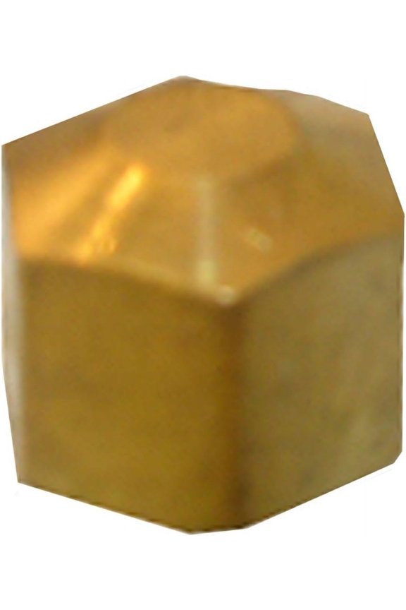 LASCO 17-6181 1/4-Inch Compression Brass Cap