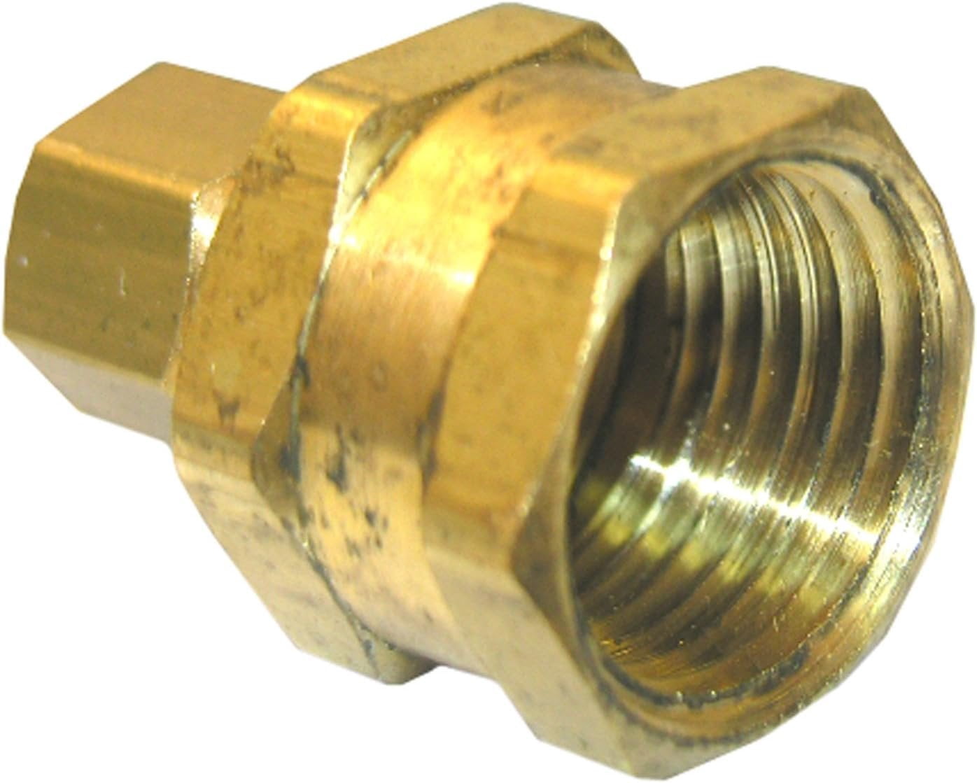 LASCO 17-6623 5/16-Inch Compression by 1/4-Inch Female Pipe Thread ...
