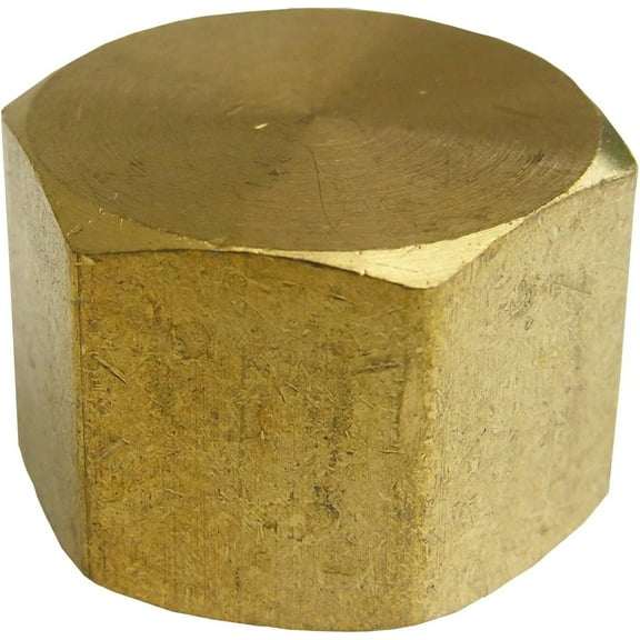 LASCO 17-9149 1/2-Inch Female Pipe Thread Brass Cap