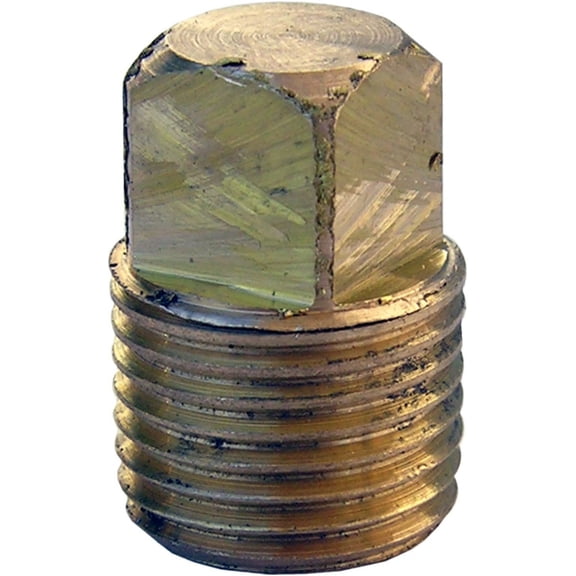 Lasco Fittings Brass Pipe Thread Plug Square Head - 1/8-Inch