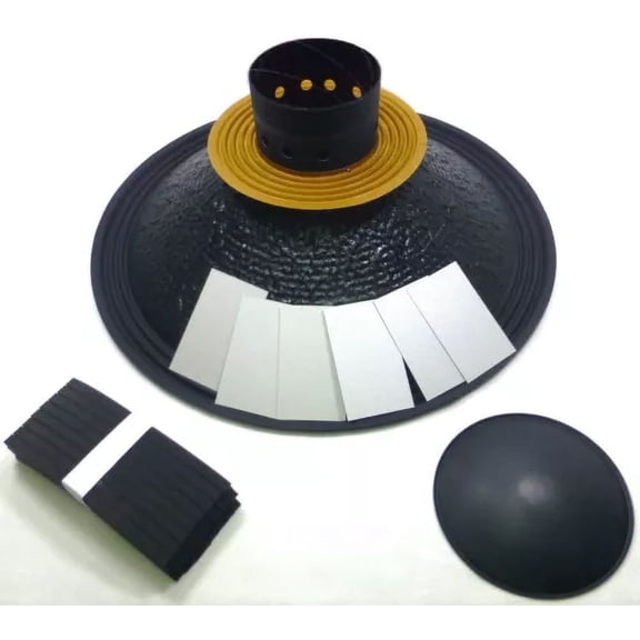 LASE Replacement EV Electro Voice EVX 180 A 18" Speaker Re-Cone Kit Assembled 8