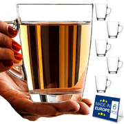 Lav Vega Clear Glass Coffee Tea Mugs Set of 6, Teacups with Handle, Coffee Service Set, 8.5 oz