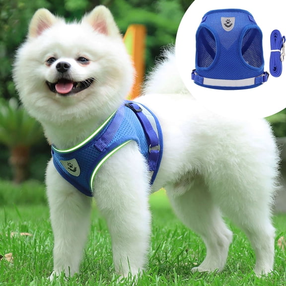 LAVA No Pull Dog Harness and Leash Set, No Choke Breathable Mesh Dog Vest Lightweight Adjustable for Small Medium Dogs - Easy to Put On and Take Off
