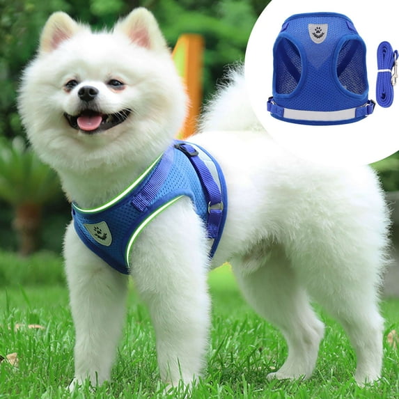 LAVA No Pull Dog Harness and Leash Set, No Choke Breathable Mesh Dog Vest Lightweight Adjustable for Small Medium Dogs - Easy to Put On and Take Off