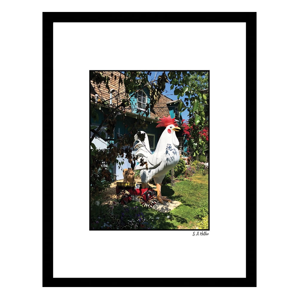 LAWN CHICKEN Framed Printed Photograph